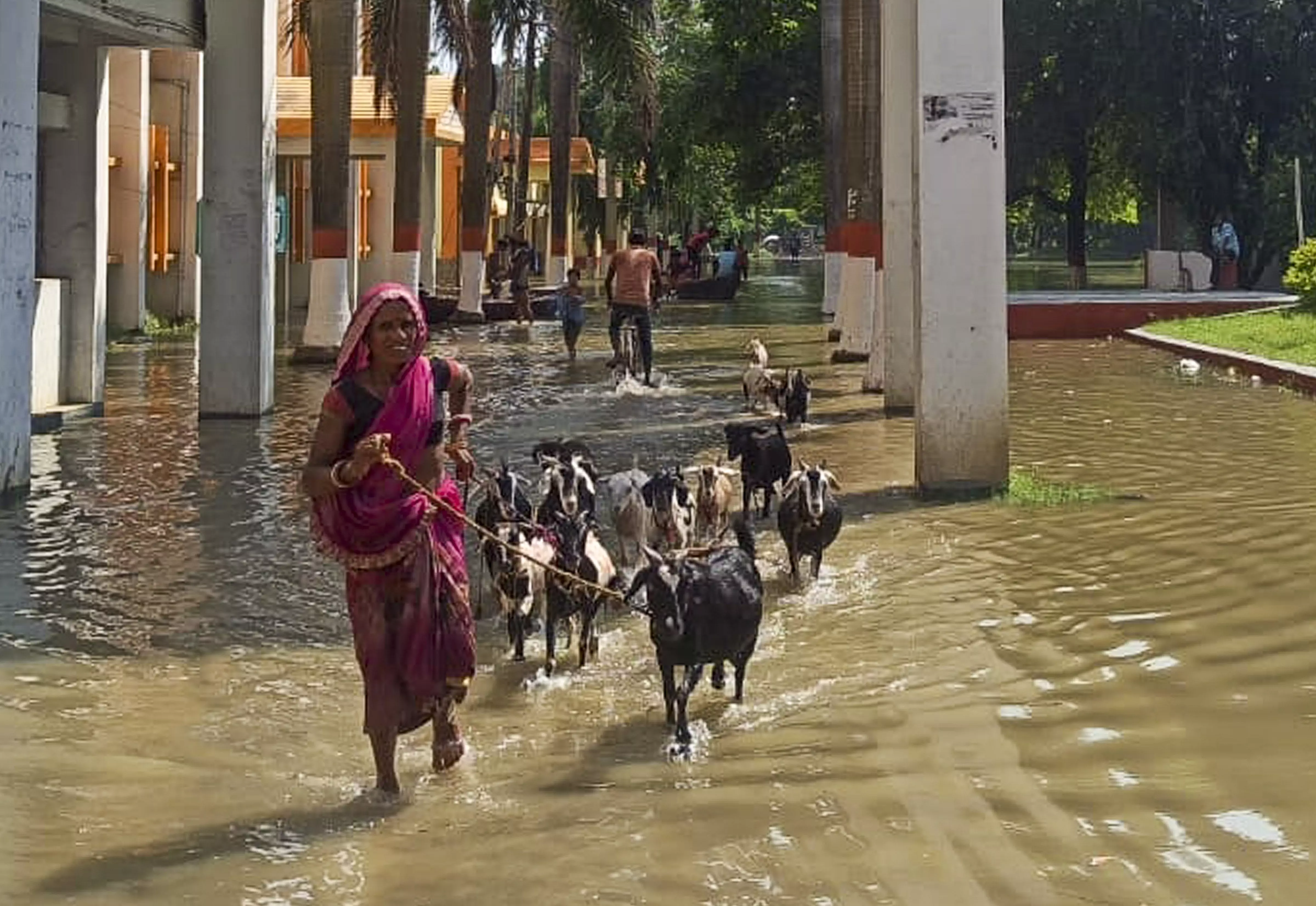 Bihar: Fresh spell of heavy rain likely, several districts at risk of flash floods: IMD