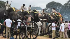 Carnival of sorts:  Palace city of Mysuru gears up for Dasara festival