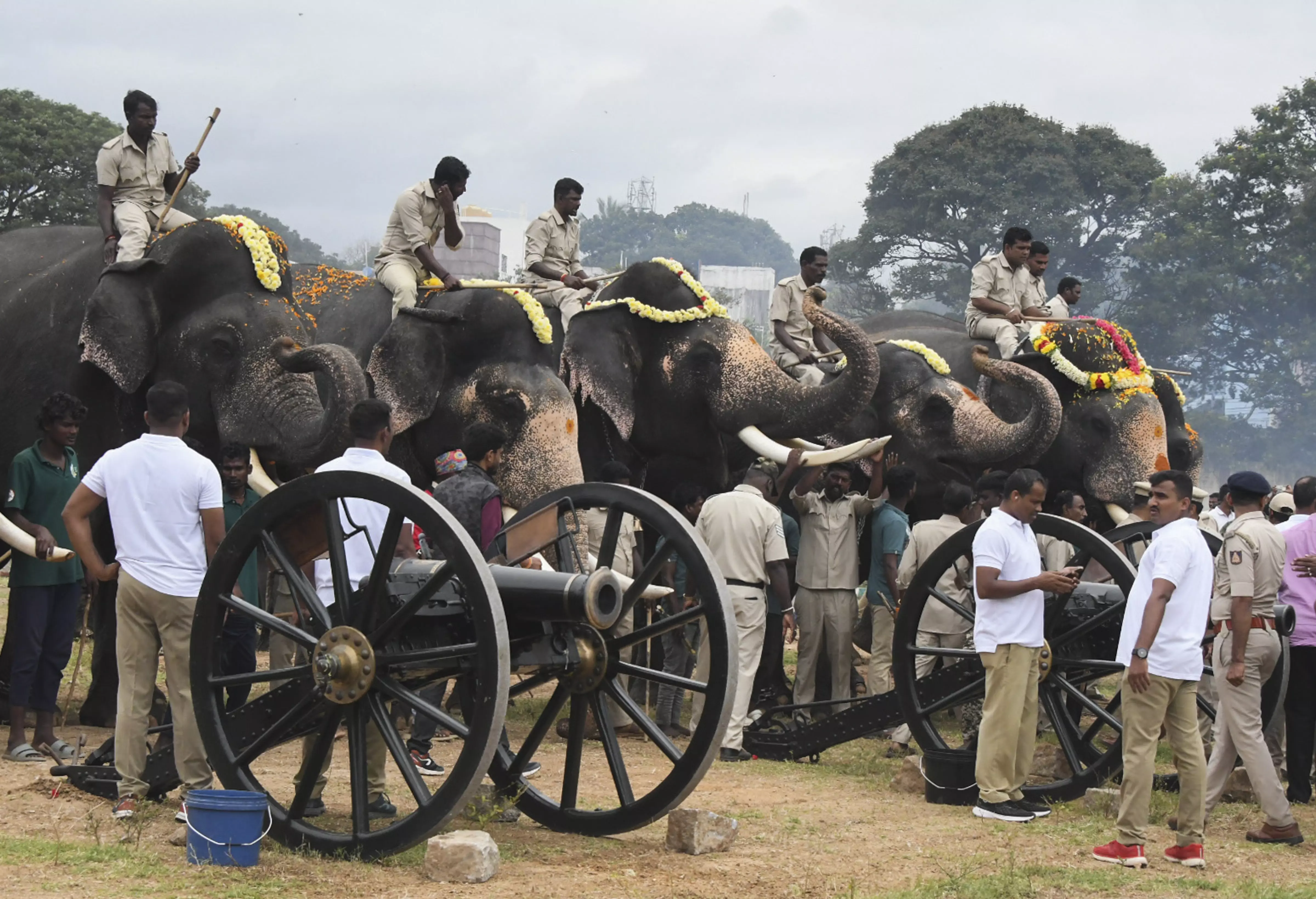 Carnival of sorts:  Palace city of Mysuru gears up for Dasara festival