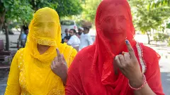 Haryana Assembly polls, Voters
