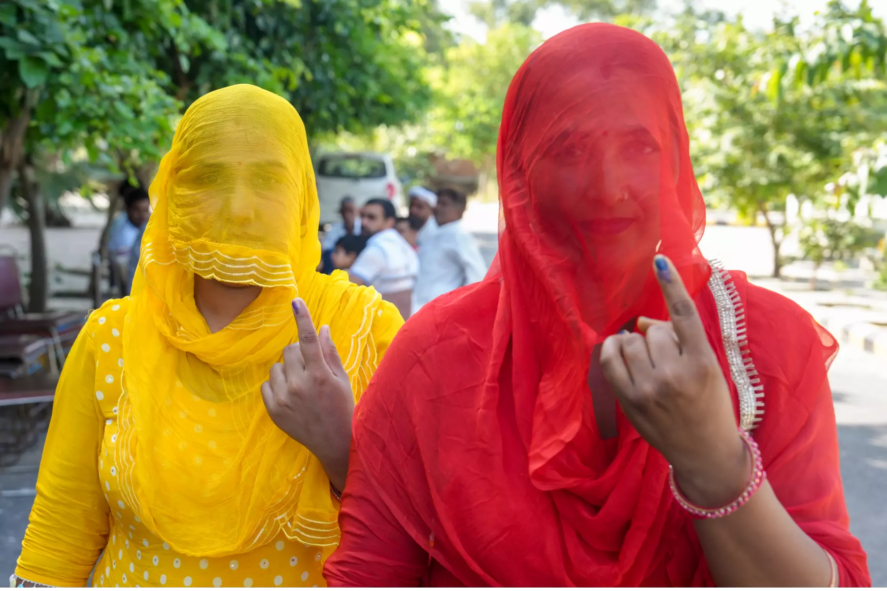 Haryana Assembly polls, Voters