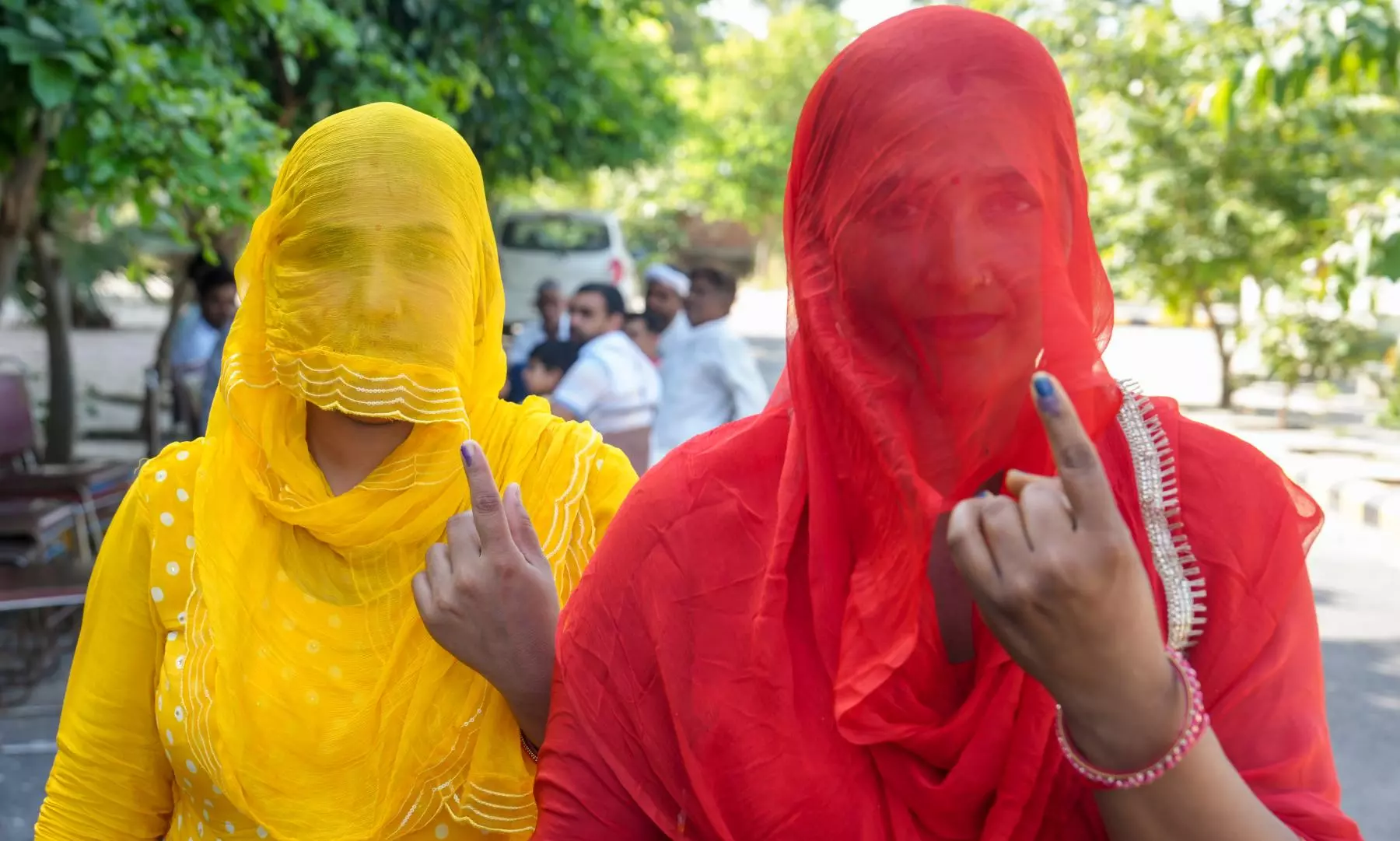 Haryana Assembly polls, Voters