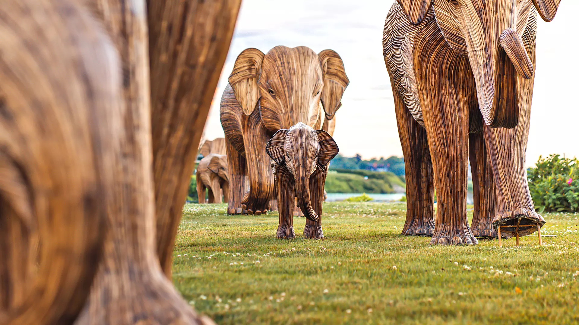 The sculptures of elephants have reached New York City, and are set to travel to Miami, Blackfeet Nation, Buffalo Pastures in Browning, Montana, and Los Angeles through 2025. 