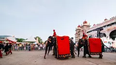 Dasara celebrations: Karnatakas rich culture depicted