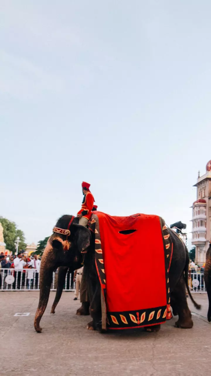 A city without flyovers: Why Mysuru is finally building one