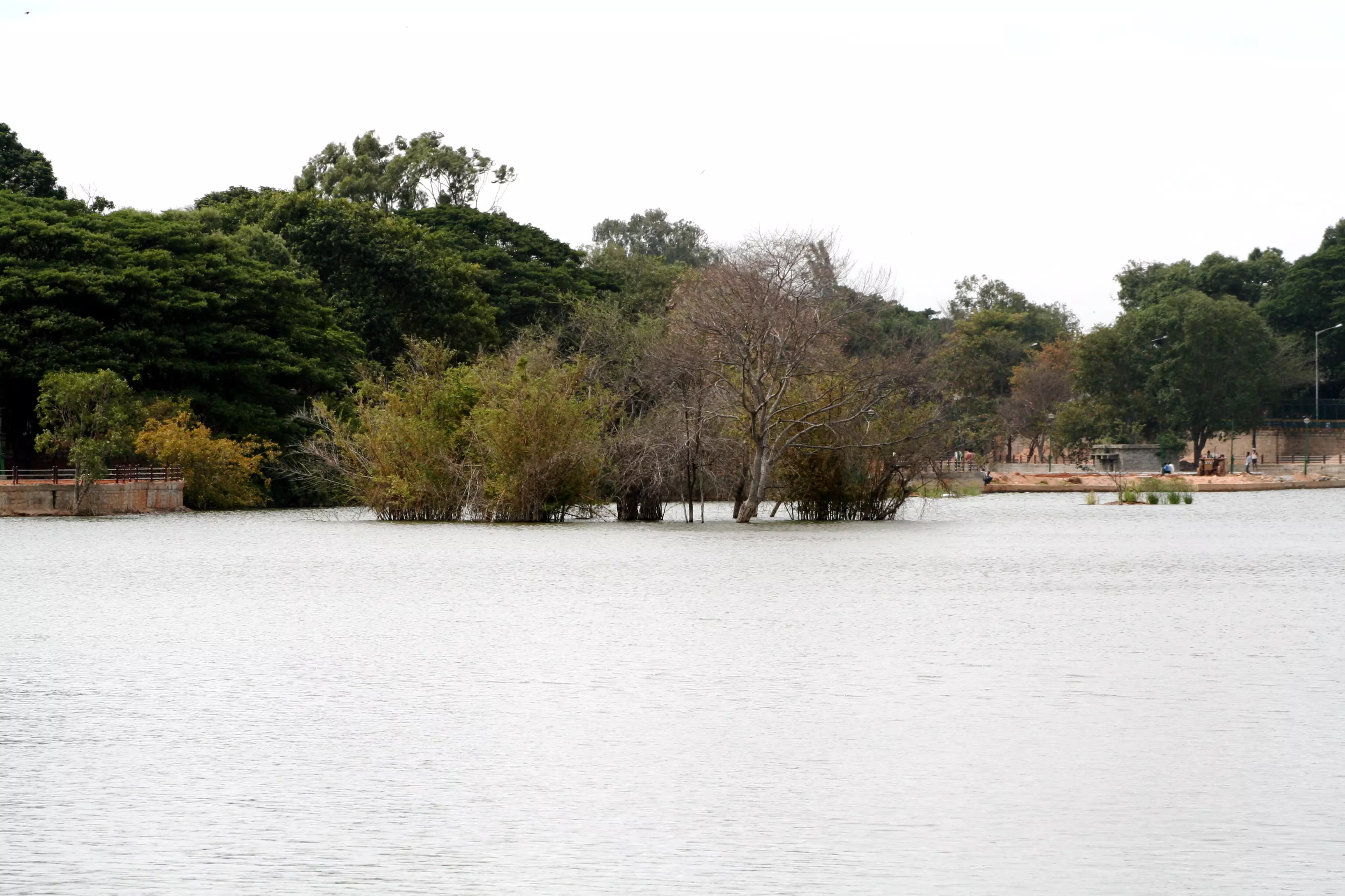 NGT notice to authorities on blockage of drains, encroachment in Bengaluru lakes