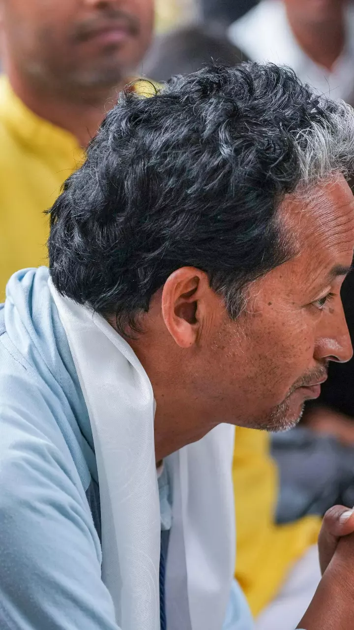 Wangchuk detained for instigating people in sensitive border area: Centre to SC