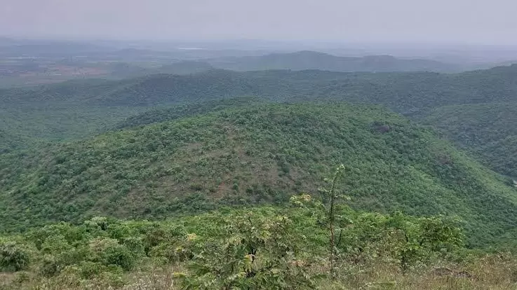 Kappatagudda project: Why green activists are wary of Karnataka govts moves Kappatagudda project: Why green activists are wary of Karnataka govts moves