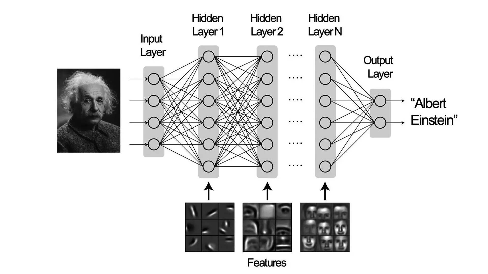 The leftmost layer encodes the input, which in this case is faces. The rightmost layer produces the result, in this example, if the photo is of Albert Einstein. Training with millions of labelled trial faces helps to trim and perfect the weights between neurones. During each trial, backpropagation is used to alter the connection weights to obtain the desired output. After enough training, the network matures to the point where each subsequent layer in the neural network learns to recognise and accurately classify progressively complex features (e.g., lips, nose, eyes, and so on) in faces.