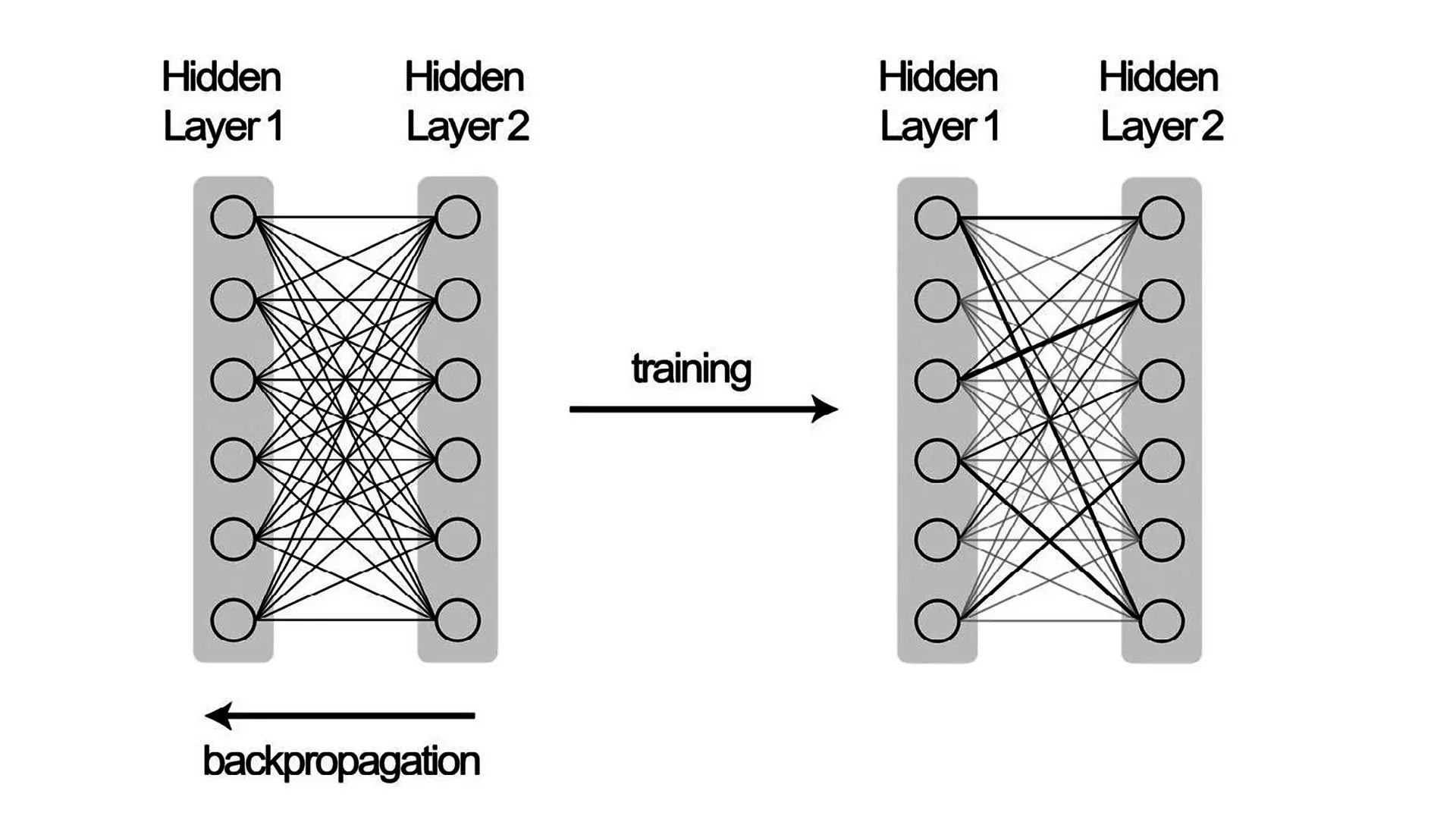 With training some connections gets strengthen (bold lines) and others weakened (light lines). The output from the network is now closer to true value. 