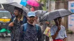 Heavy rain forecast: Holiday for Bengaluru schools on Wednesday