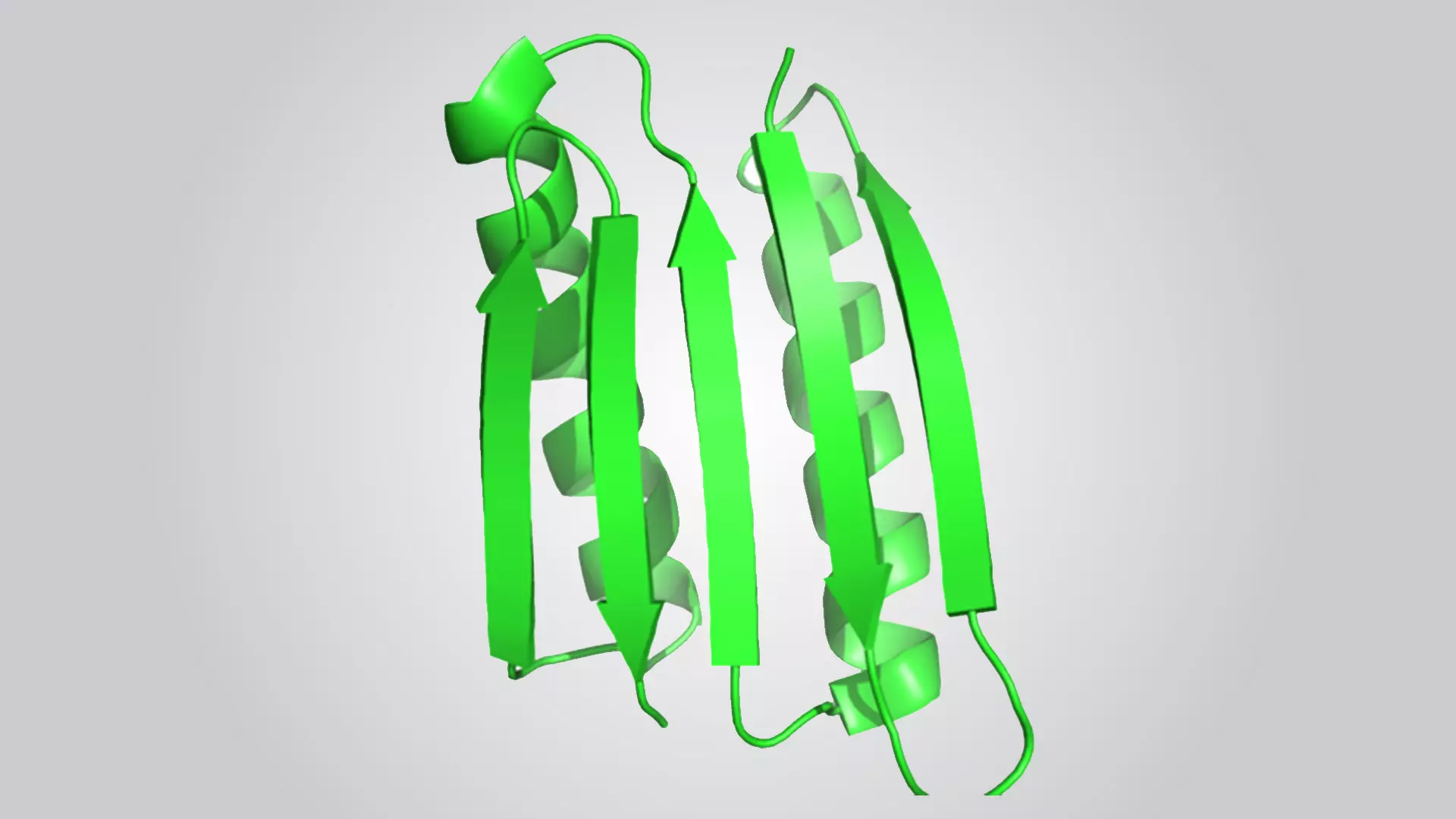 De novo protein Top7  has 93 amino acids which folds into two alpha helices packed on a five beta sheets. 