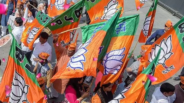 BJP flags
