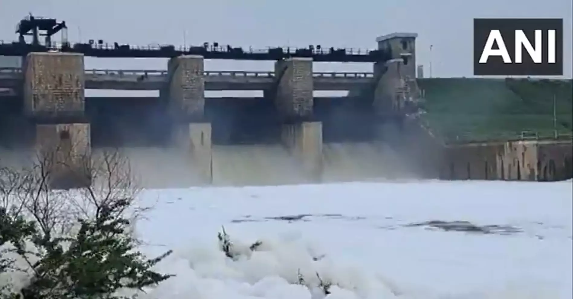 TN: Toxic foam covers river, roads, fields in Hosur after dam discharges water