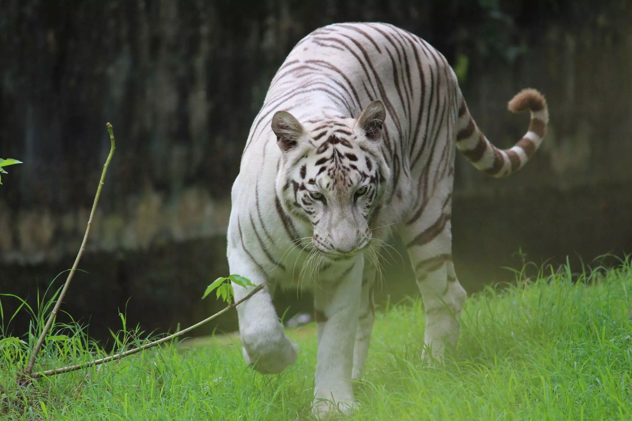 Countrys oldest zoo in Kolkata gets Blue plaque heritage status