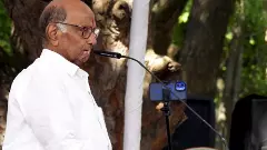 Maharashtra polls: Pawar, Thackeray, Rahul to jointly campaign for MVA in Mumbai on Nov 6