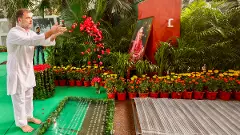 Your sacrifice for country will always inspire us: Cong pays tributes to Indira on death anniversary