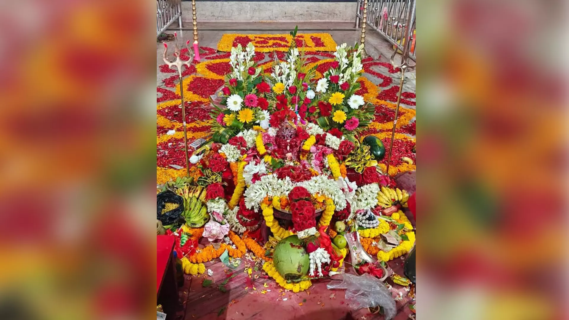 Kali Puja is generally observed on Amavasya in the Bengali month of Kartik. 