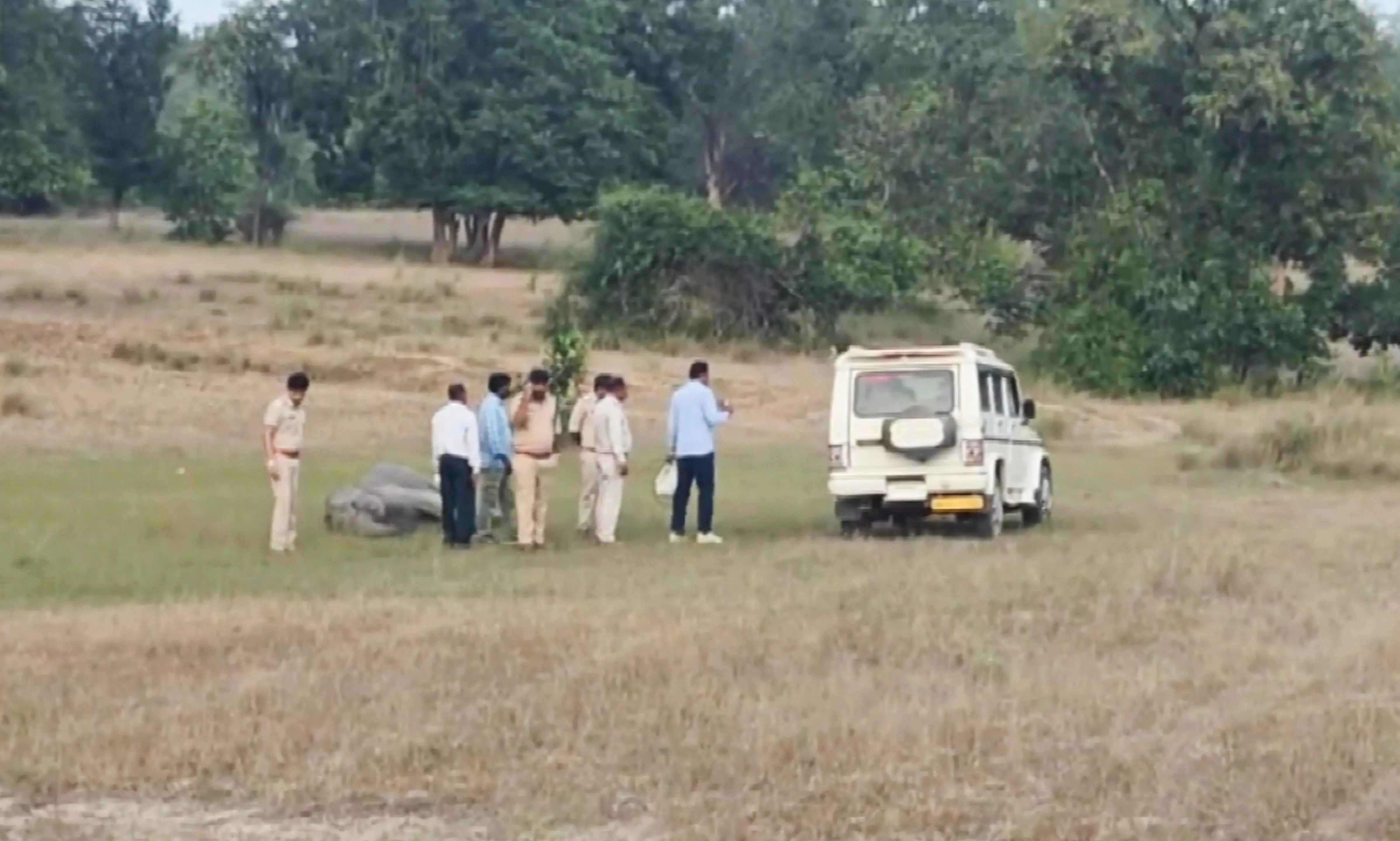 Bandhavgarh elephant deaths: No conspiracy, says official