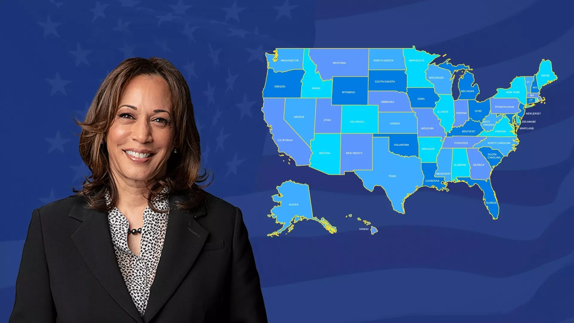 ‘Don’t ever give up’: Harris concedes poll defeat but resolves to fight on