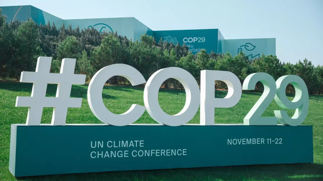 COP29: Did developing countries ask for more climate funding in vain?
