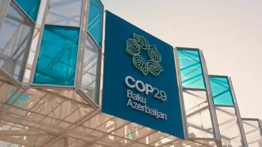 COP29 sets stage for global carbon market in landmark decision on 1st day