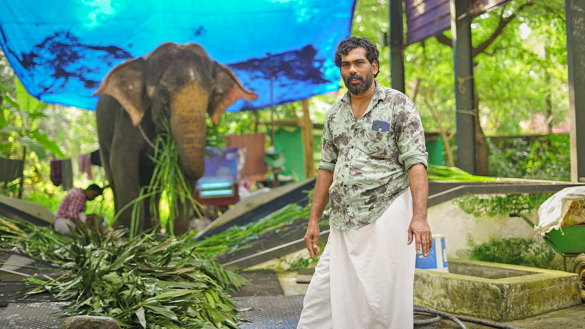 Nandini, the oldest elephant of the Punnathoor Kotta camp, with her mahout.