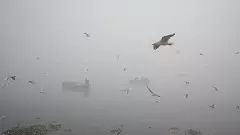 Delhi, Delhi air pollution