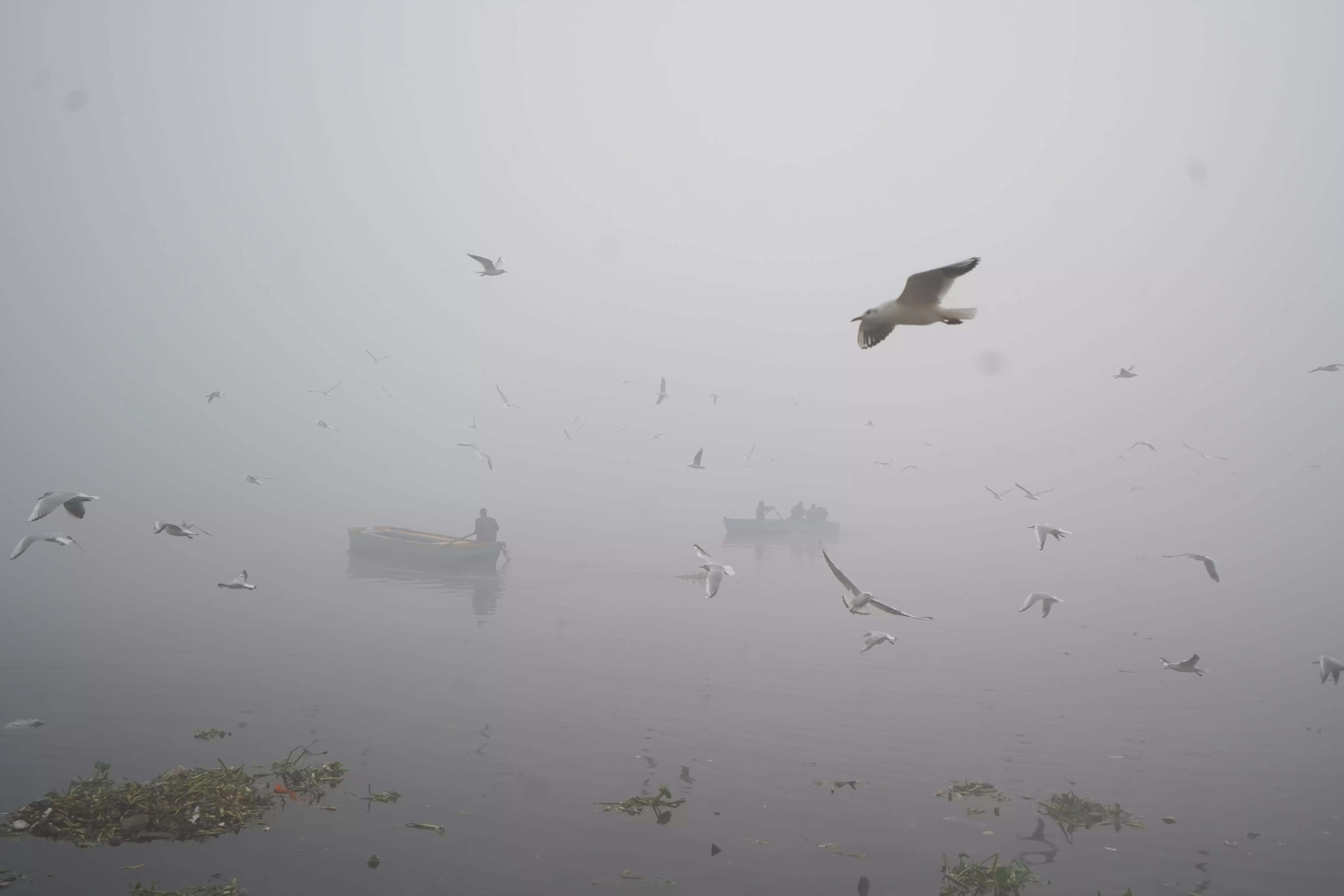 Delhi, Delhi air pollution