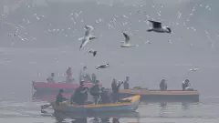 Delhi: Over 2,200 overage vehicles impounded to combat air pollution