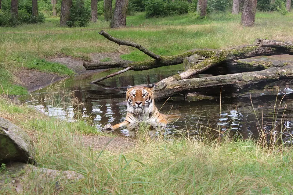 Atomic Energy, Nuclear Energy, Amrabad Tiger Reserve, forest conservation, flora and fauna,