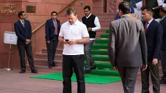 Rahul Gandhis dual citizenship allegations: How tough is the challenge?