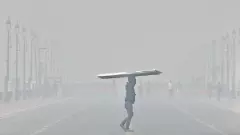 Delhi air pollution, Smog