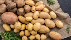 Potato movement ban could spell disaster: Bengal cold storage body