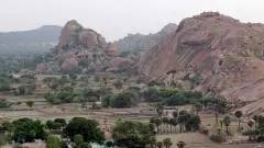 Why TN is objecting to Centres grant of tungsten mining licence