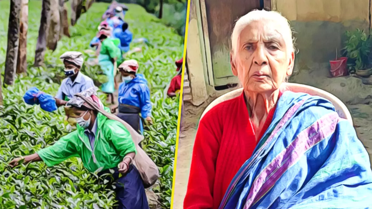 Why Assam tea worker Subhadra Nayak turning 95 has left people shocked