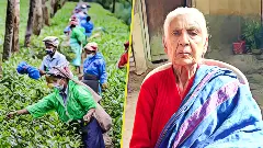 Why Assam tea worker Subhadra Nayak turning 95 has left people shocked