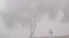 Delhi: Dense fog envelops; flight, train operations disrupted