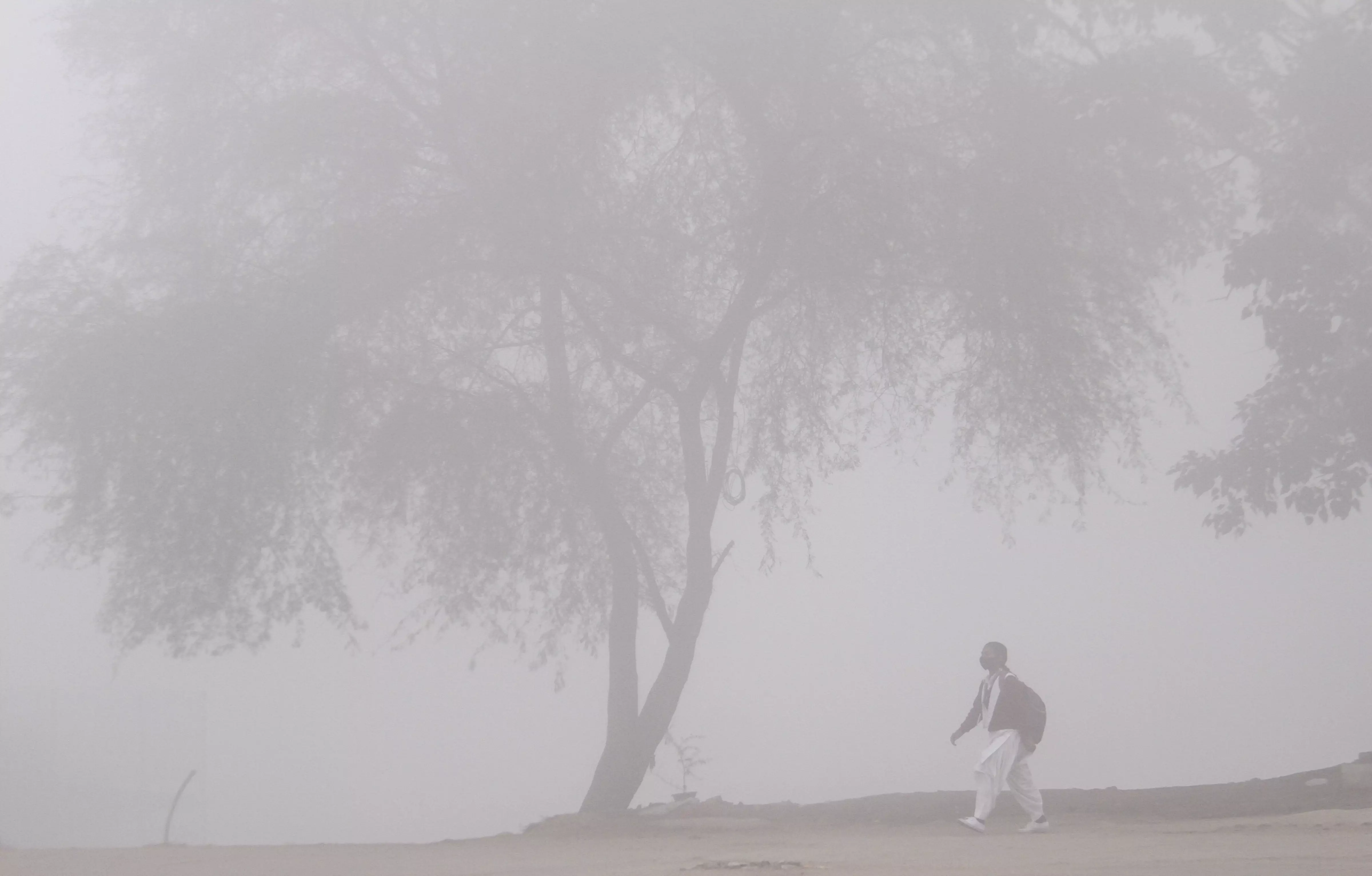 Delhi: Dense fog envelops; flight, train operations disrupted