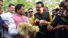 Chief Minister Mohan Majhi at a recent event of farmers. Photo: @MohanMOdisha/X