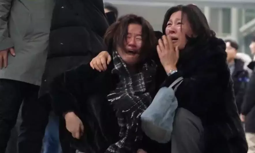 Jeju Air plane crash | Both survivors in shock, unable to recall anything about crash