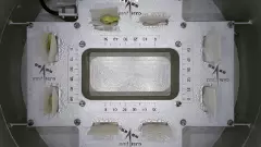 ‘Life sprouts in space’, gushes ISRO as seeds germinate in microgravity