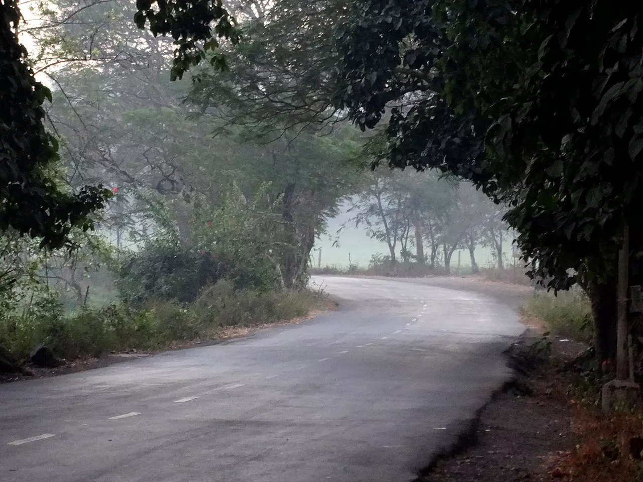 Aarey Colony