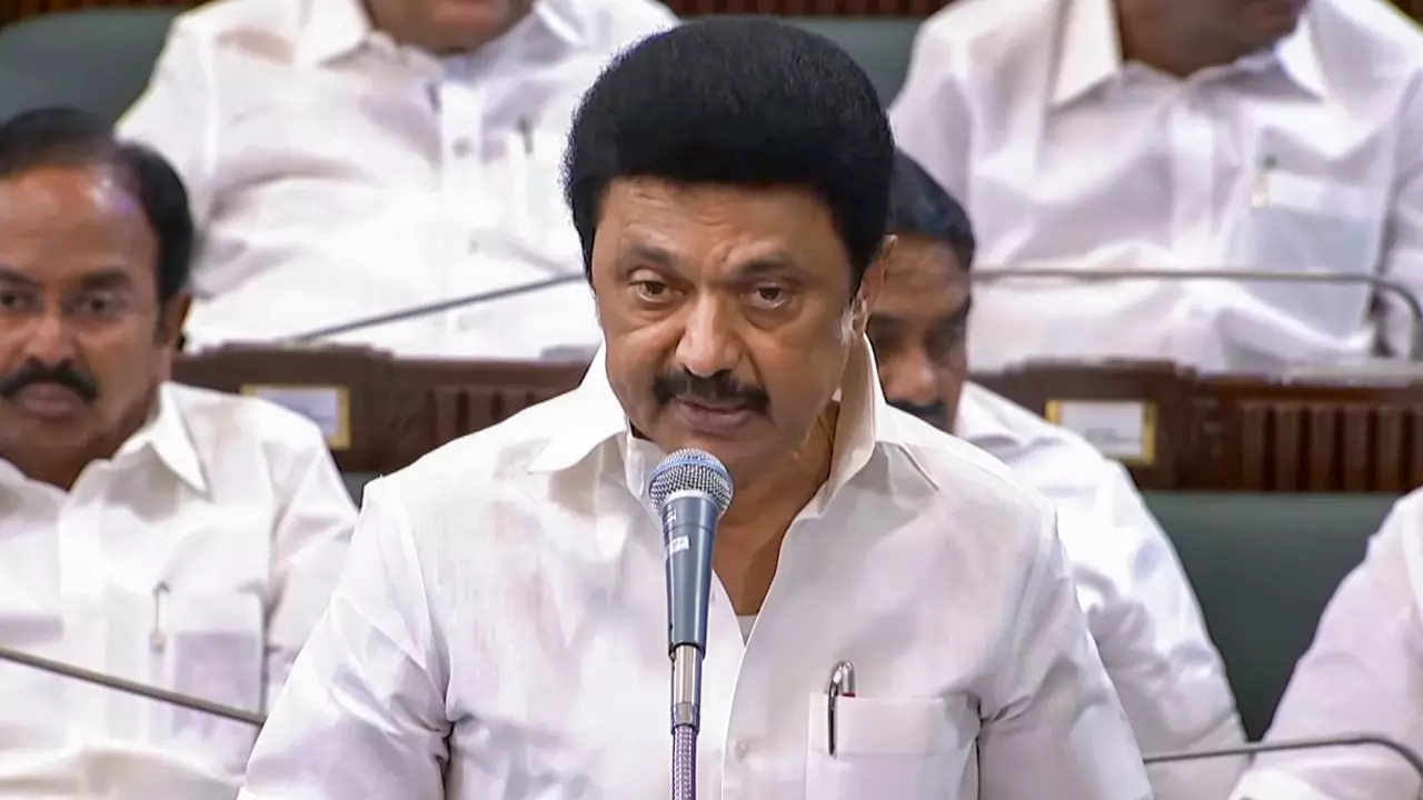 MK Stalin in the Legislative Assembly MK Stalin in the Legislative Assembly