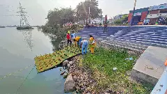 How vetiver grass is weeding out effluents from Coimbatore’s Ukkadam Lake