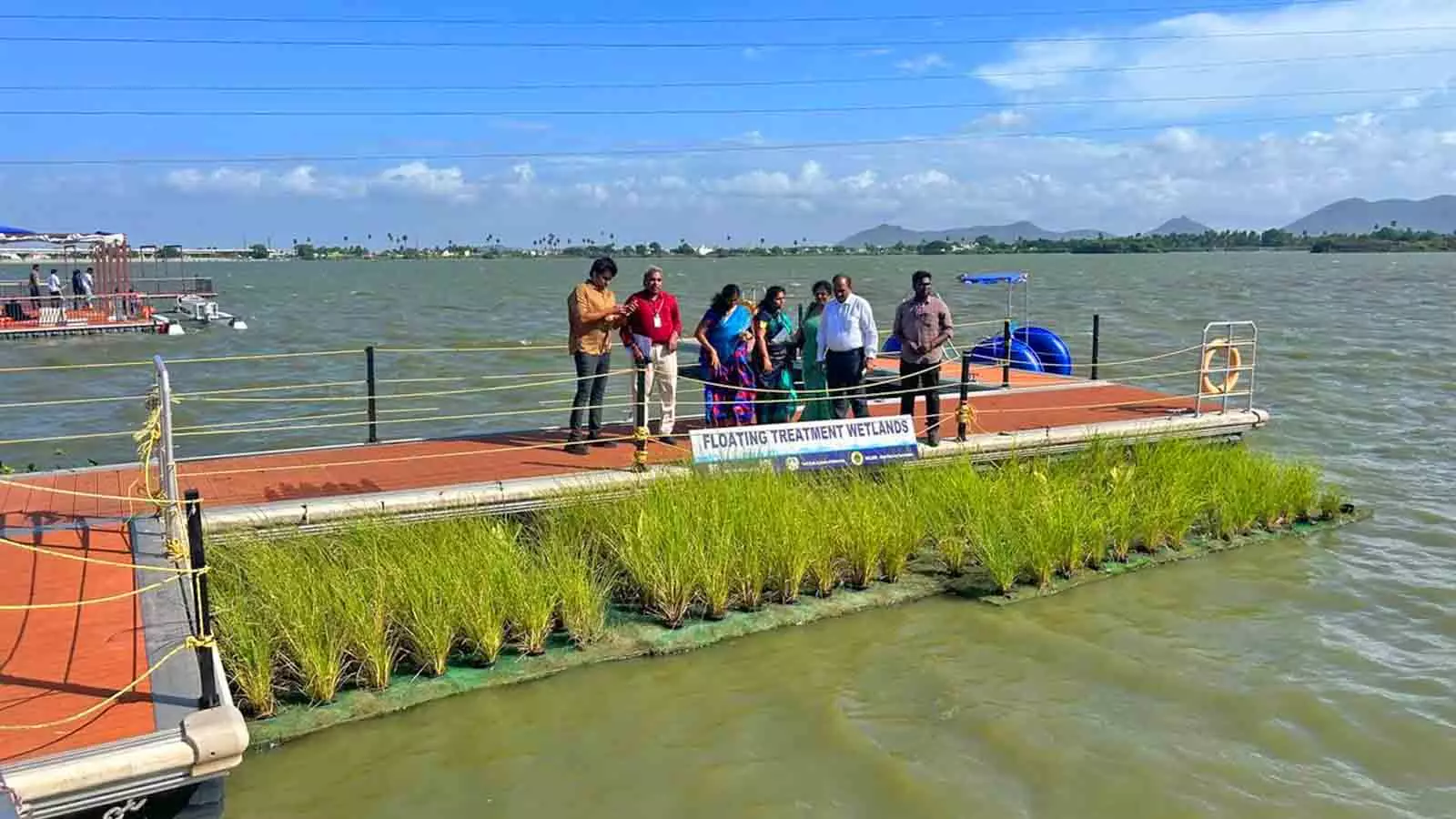 Vetiver is a densely tufted grass that thrives in various types of soil, even in hydroponic systems — the technique of growing plants using a water-based nutrient solution rather than soil.