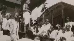 MK Gandhi