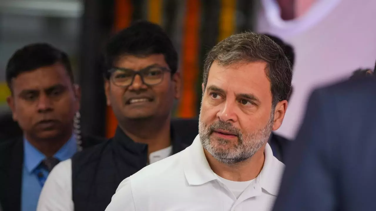 Delhi Assembly election, Rahul Gandhi