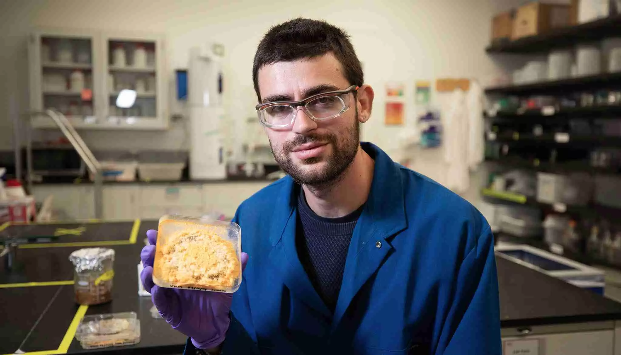 Neurospora mold grown on tomato pomace. It taste like a toasted bread with cheddar cheese on top. 