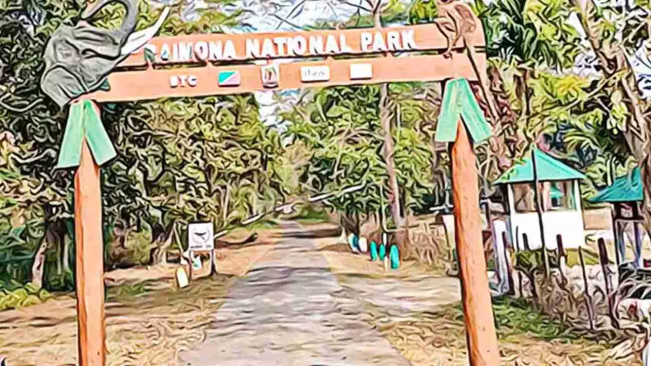 From Bodo militant hideout to biodiversity hotspot, how Raimona National Park scripted a peaceful change